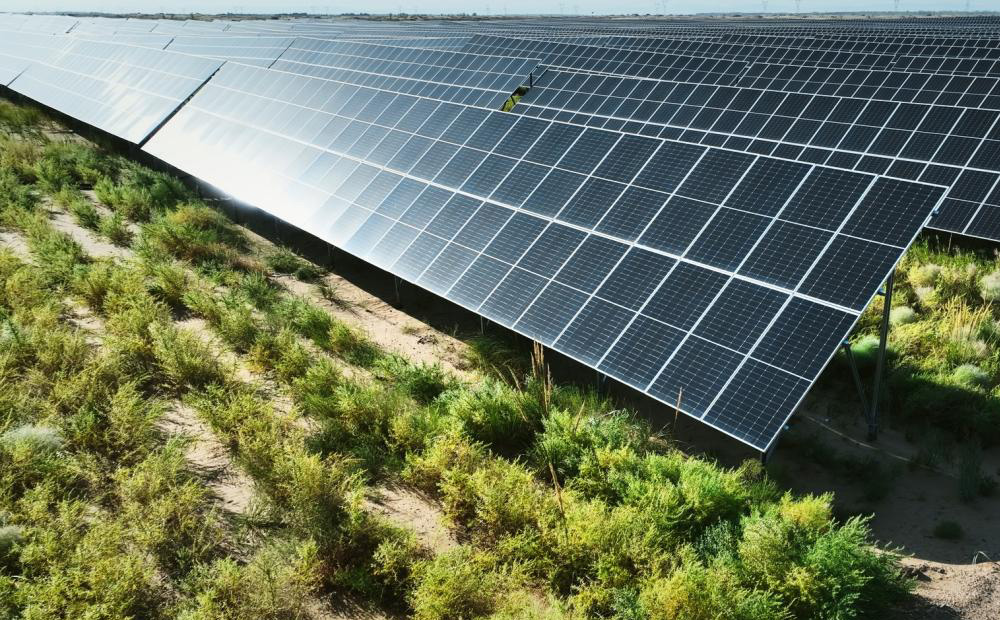 不锈钢光伏支架