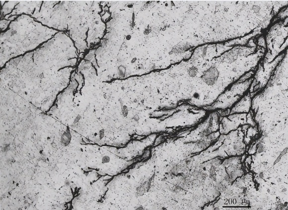 控制304不锈钢管发生硫化氢应力腐蚀开裂的方法